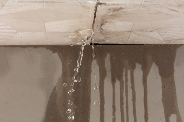 Professional Water Damage Repair technician working in Milledgeville, TN